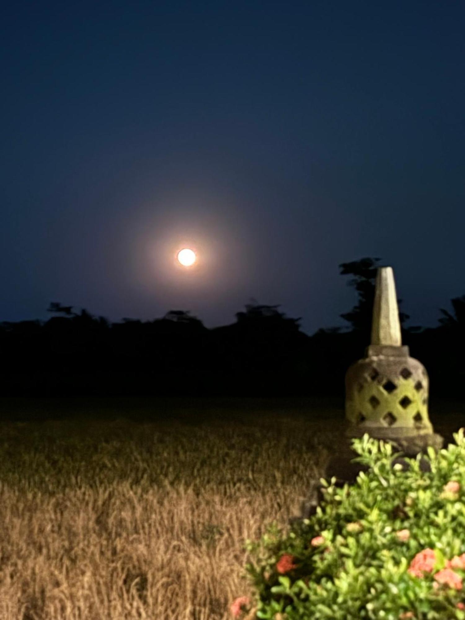 Rumah Dharma Magelang Ngoại thất bức ảnh
